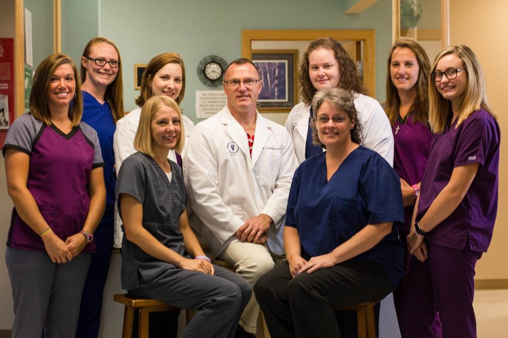 About Green Camp Veterinary Clinic